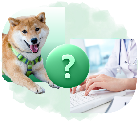 FAQ Illustration